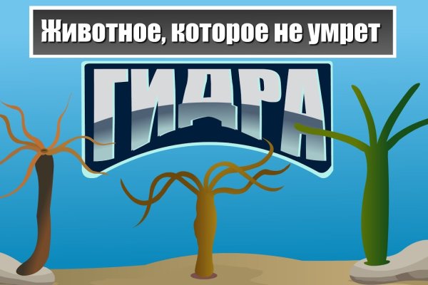 Бошки телеграмм